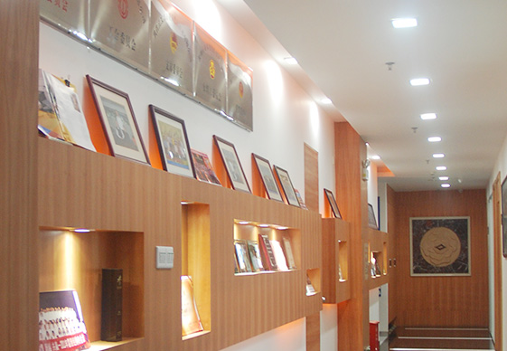 做為國產工業內窺鏡設備老品牌廠家，深圳亞泰光電深耕工業內窺鏡、工業管道內窺鏡、工業視頻內窺鏡等20余載，自主研發生產內窺鏡產品具有多項發明專利，內窺鏡廠家直銷，價格優惠。